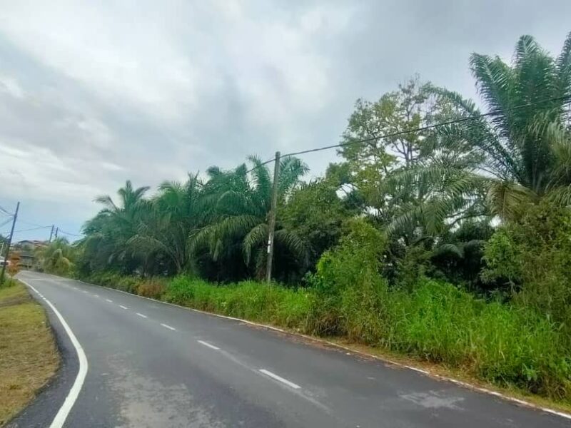 LAND FOR SALE at Batang Ai ENGKILILI Town Mixed zone Agriculture Land 8 Acres