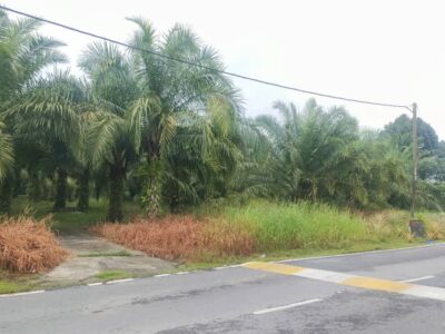 LAND FOR SALE at Batang Ai ENGKILILI Town Mixed zone Agriculture Land 8 Acres