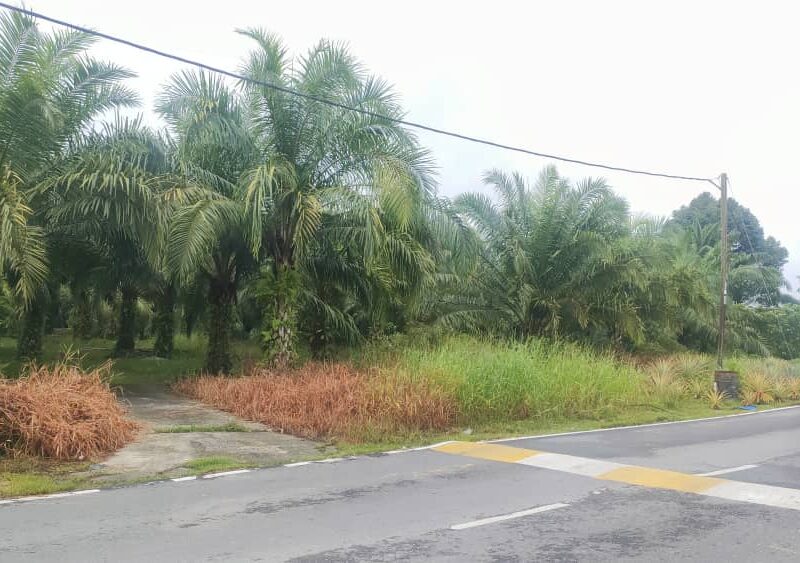 LAND FOR SALE at Batang Ai ENGKILILI Town Mixed zone Agriculture Land 8 Acres