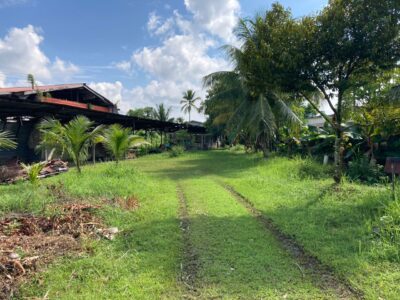 Jalan Green Kuching 1st & 2nd lot Land for Sale