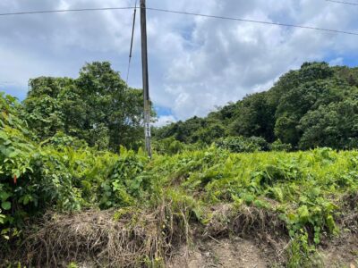 20th Mile Serian-Kuching Pan Borneo Highway first lot vacant agriculture land.