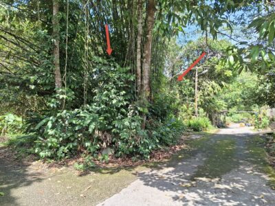 Residential land at Batu Kitang town, Kuching
