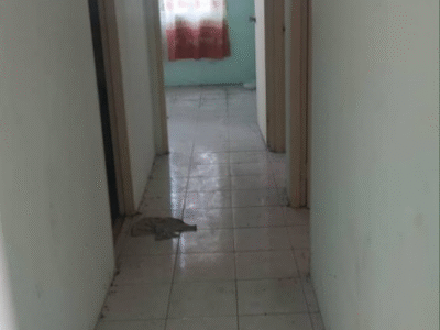 FOR RENT Country hill apartment Level 3 jalan Stephen Yong kuching
