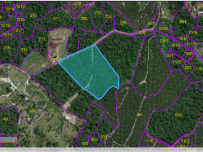 20 Acre Agriculture Land nearby Borneo Farm Siniawan-Bau Kuching For SALE