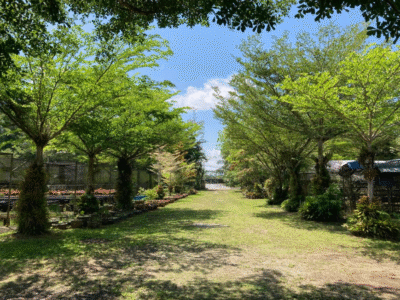 Agriculture Land at 13th Mile Jalan Kuching-Serian For Sale