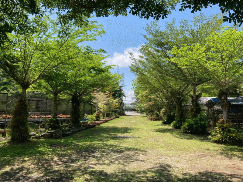 Agriculture Land at 13th Mile Jalan Kuching-Serian For Sale