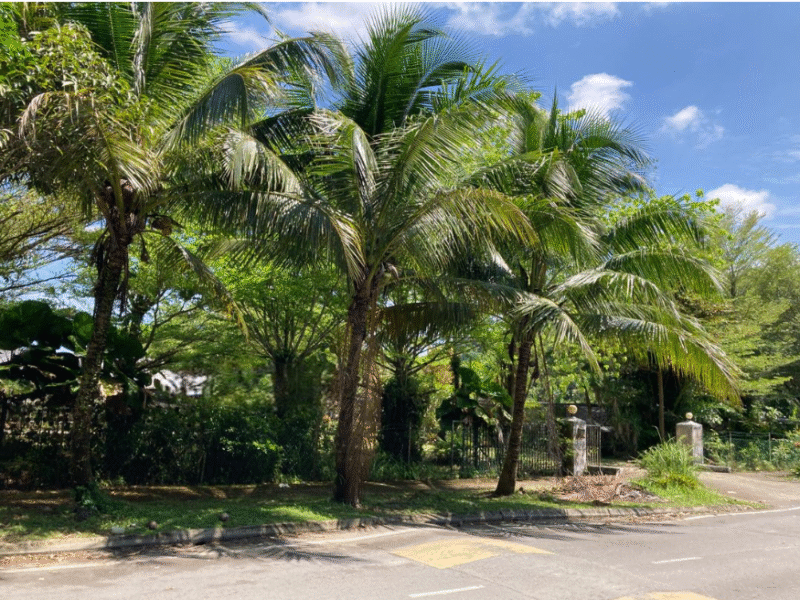 Agriculture Land at 13th Mile Jalan Kuching-Serian For Sale
