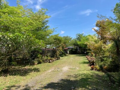 Agriculture Land at 13th Mile Jalan Kuching-Serian For Sale