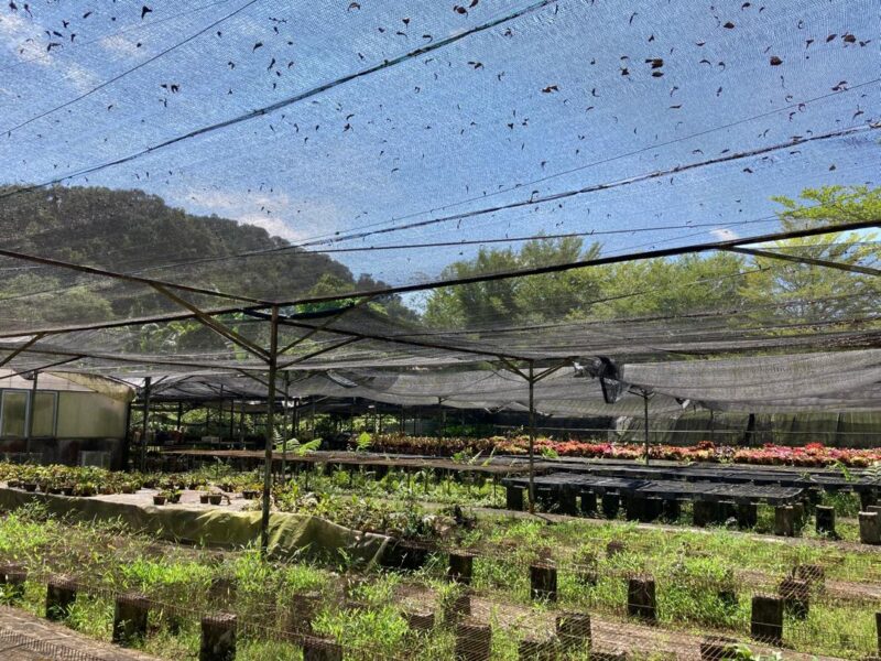 Agriculture Land at 13th Mile Jalan Kuching-Serian For Sale