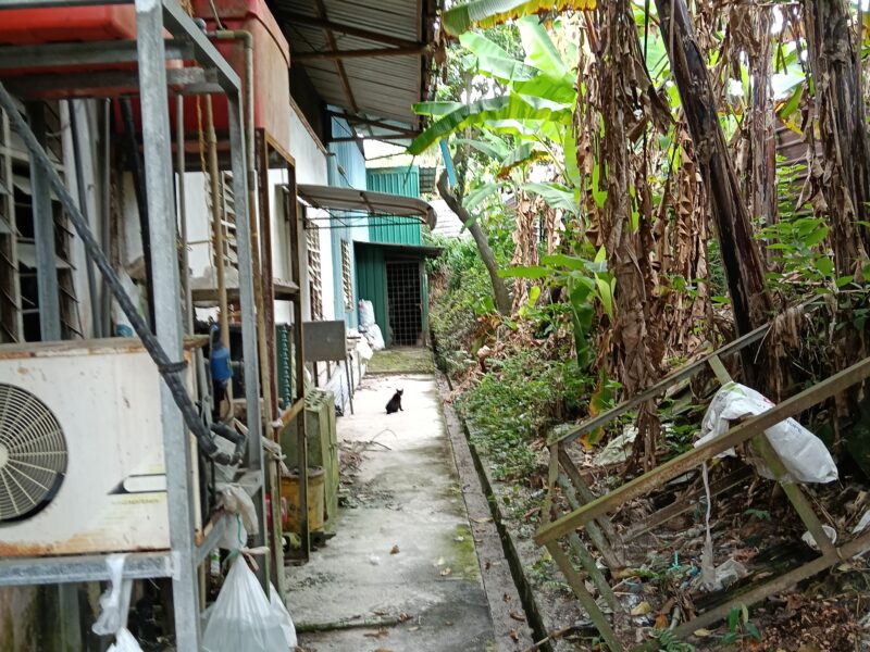 Factory for Rent