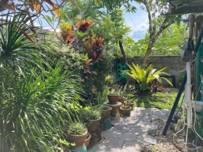 Single Storey Semi-Detached House at Taman Greenwood, 9th Mile Jalan Penrissen, Samarahan For Sale