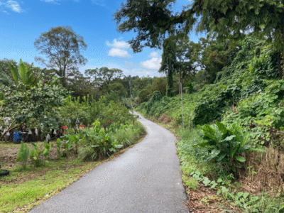 Vacant Land at Jalan Kuching-Bau, Siniawan Bau For Sale