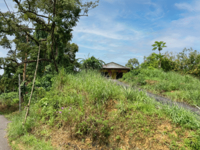 Vacant Land at Jalan Kuching-Bau, Siniawan Bau For Sale