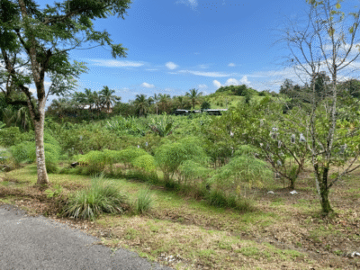 Vacant Land at Jalan Kuching-Bau, Siniawan Bau For Sale