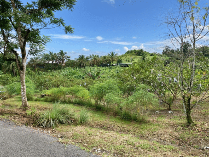 Vacant Land at Jalan Kuching-Bau, Siniawan Bau For Sale