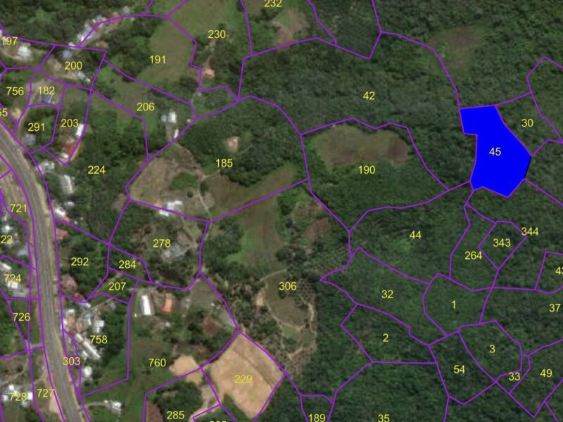 Native Agricultural land at 49th Miles, Pan Borneo Highway, Serian