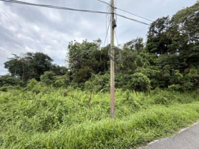 RARE FIND | Two Adjoining Vacant Lots | Batu Kawa, Kuching