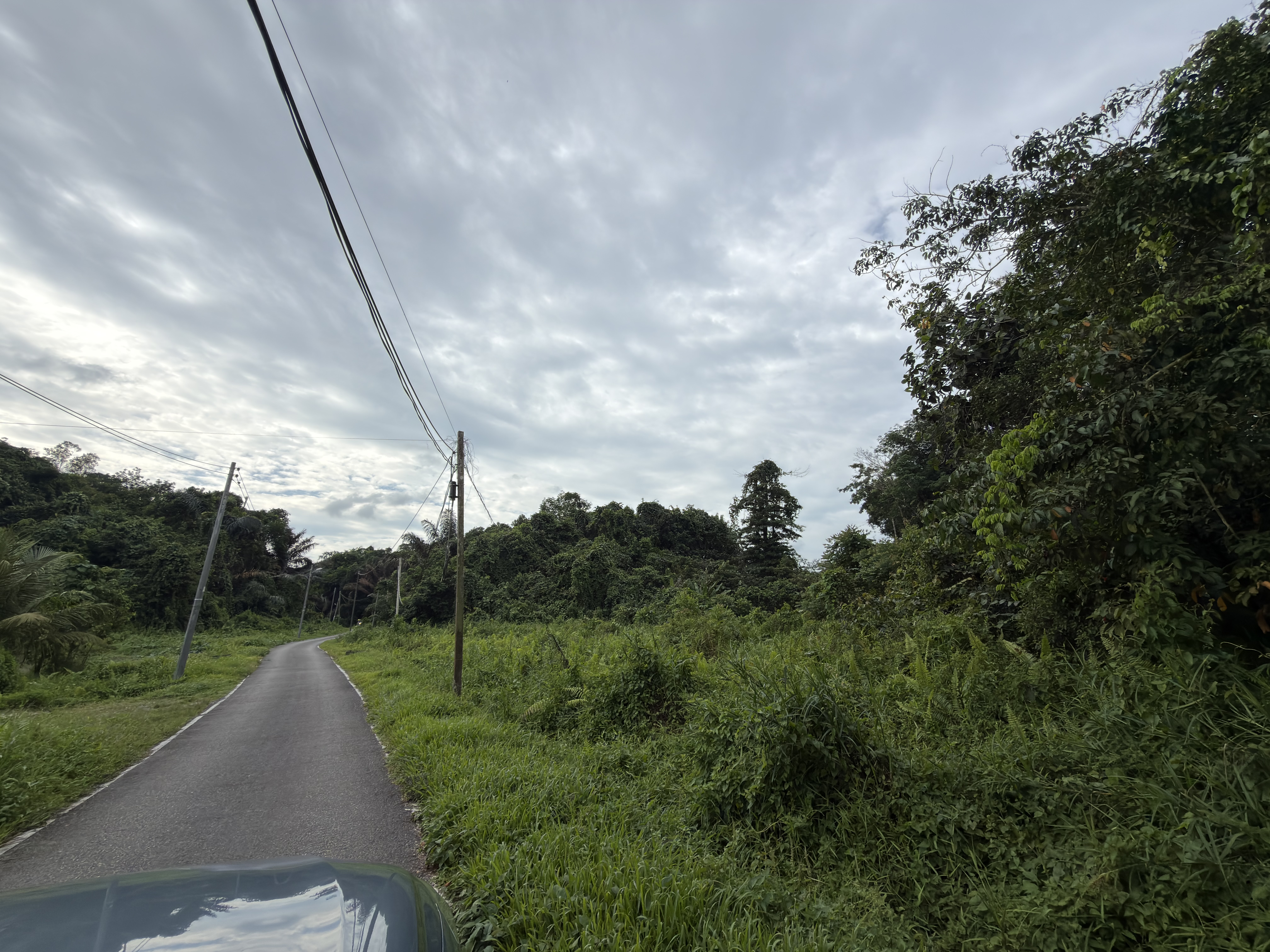 RARE FIND | Two Adjoining Vacant Lots | Batu Kawa, Kuching